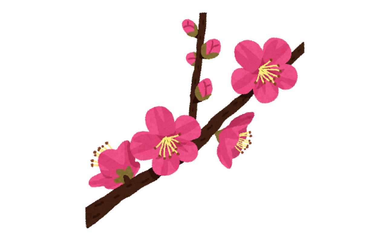 身体も衣替え！立春から始める「デトックス＆巡りアップ」のススメ