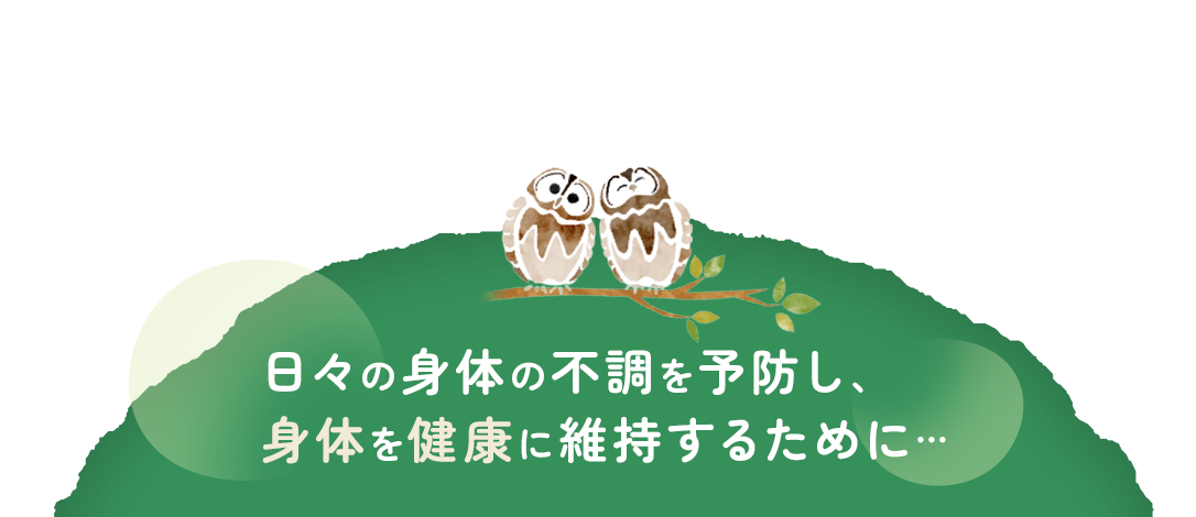 日々の身体の不調を予防し、身体を健康に維持するために…